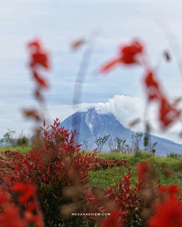 KEBUN EFI - Wisata Alam dan Edukasi